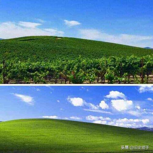 对比
