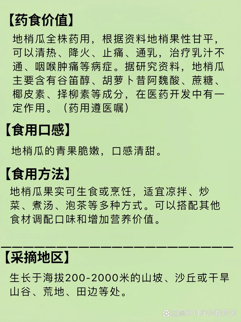 野菜疗法