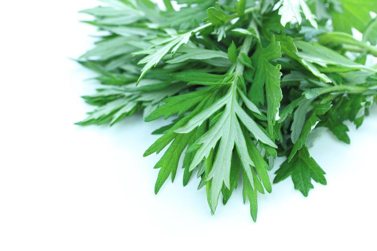 艾草灰