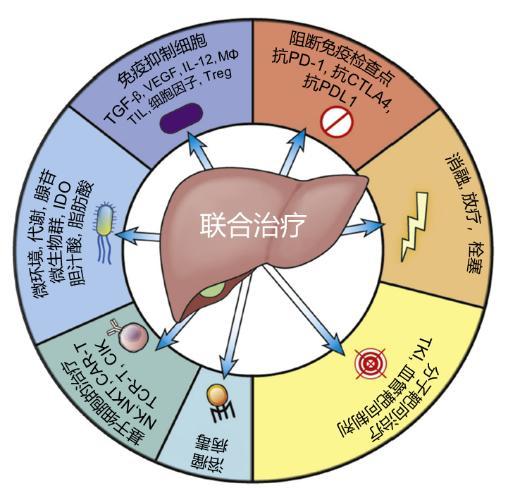 联合治疗