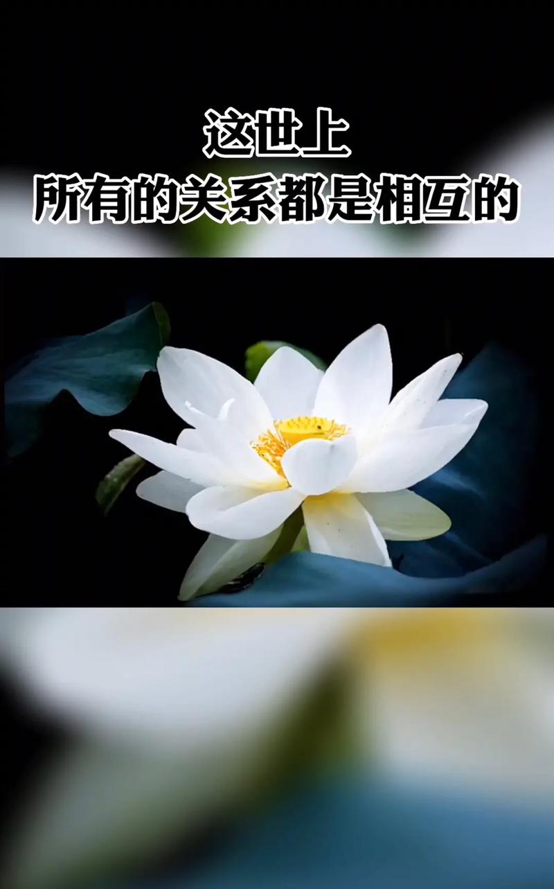 相互关系