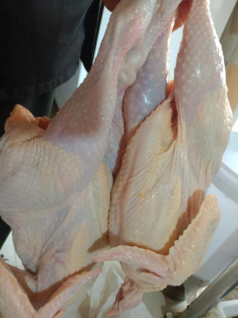 鸡肉